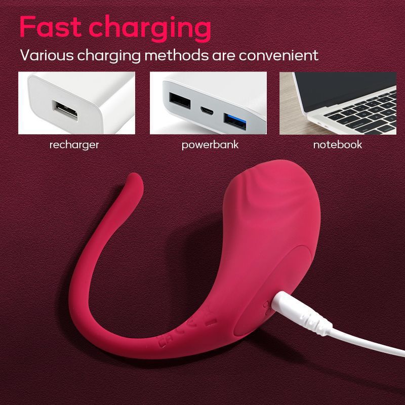 App Controlled G Spot Vibrator