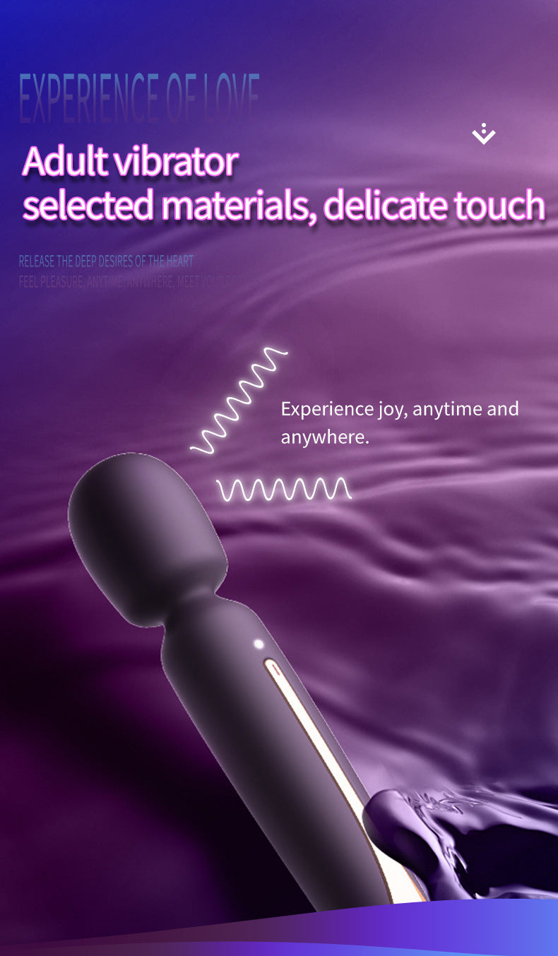 Electric Massager